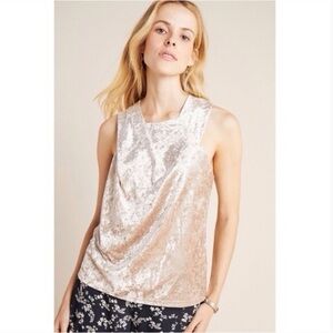Anthropologie Porridge Jessi Neutral Sleeveless Velvet Top Size Medium NWT